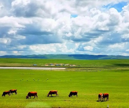 艱苦卓絕，奮楫篤行! 2025唐姆渠道事業(yè)部年中營銷峰會圓滿舉行