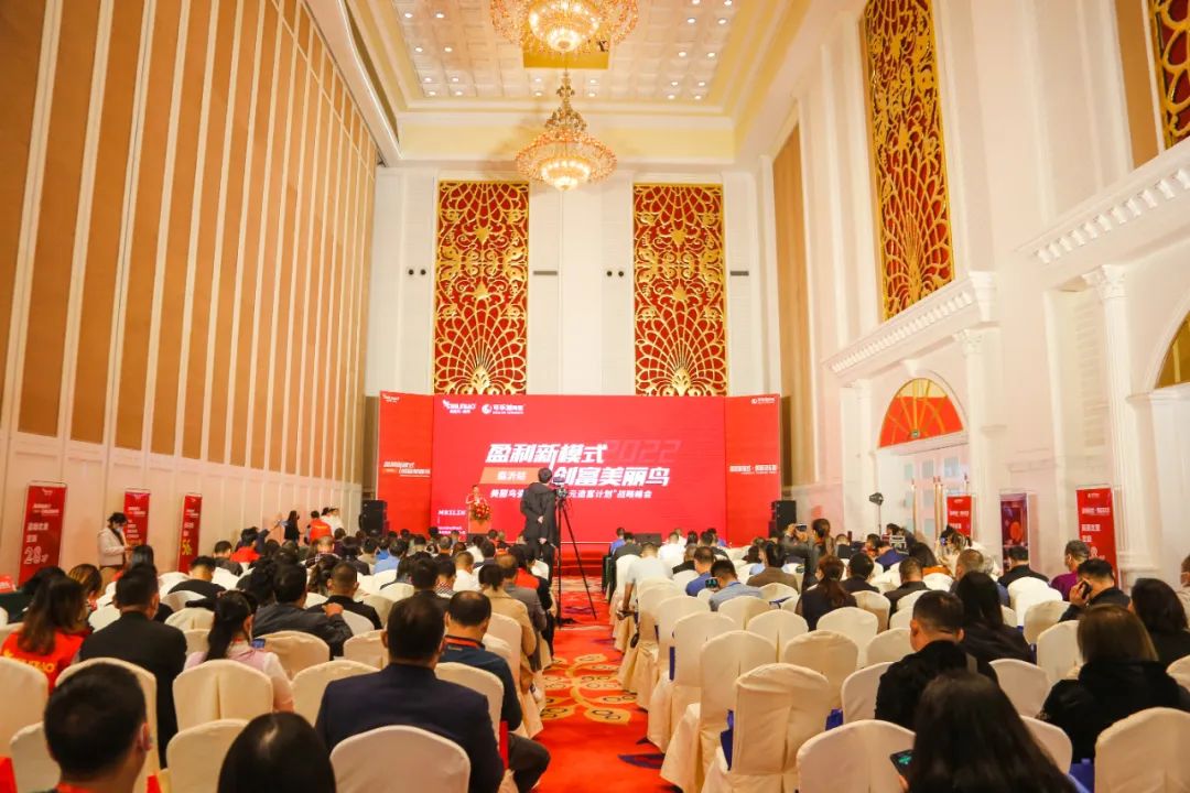 1665971753464693.jpg 10.jpg